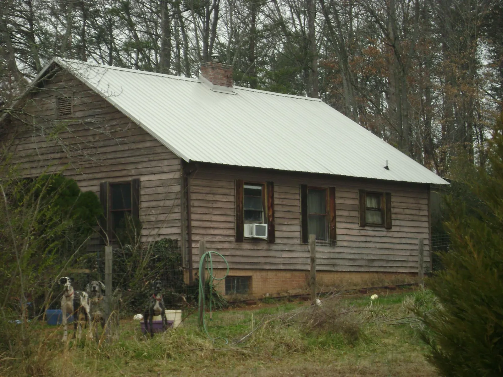 White metal roof on an old wood sided farmhouse, from a Asphalt Shingle Roof Repair job in Dillon